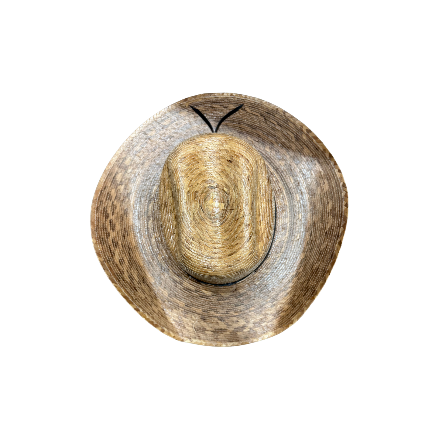 Billie Western Palm D&D